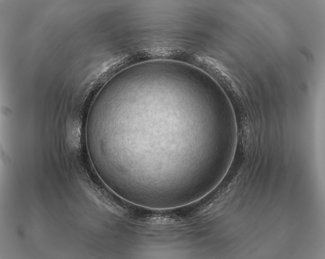 X0000090910596200708061524