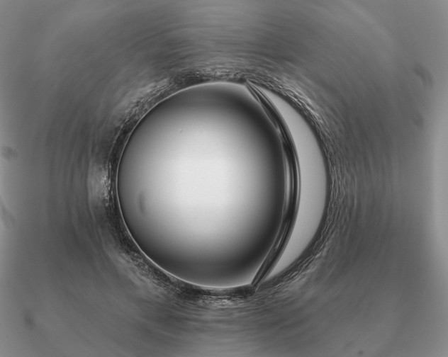 X0000090910597200708061524