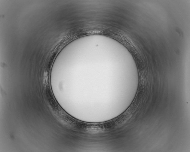 X0000090910598200708061524