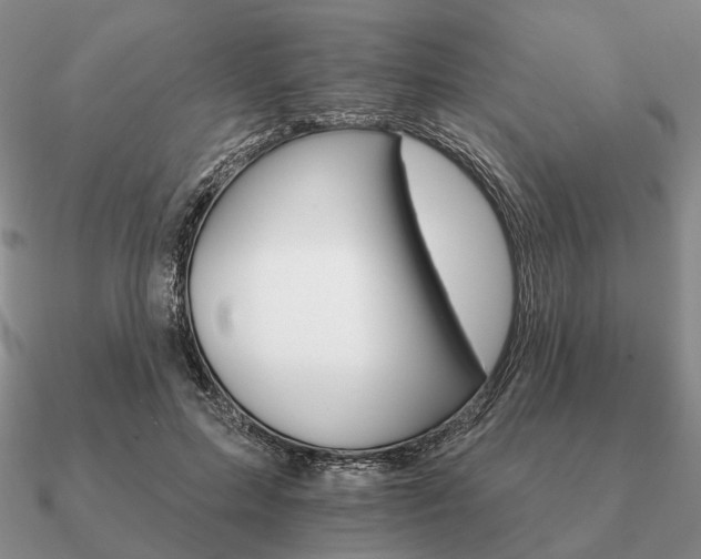 X0000090910599200708061524