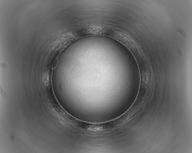 X0000090910602200708061524