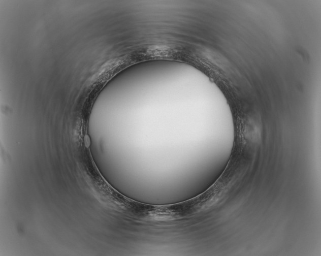 X0000090910603200708061524