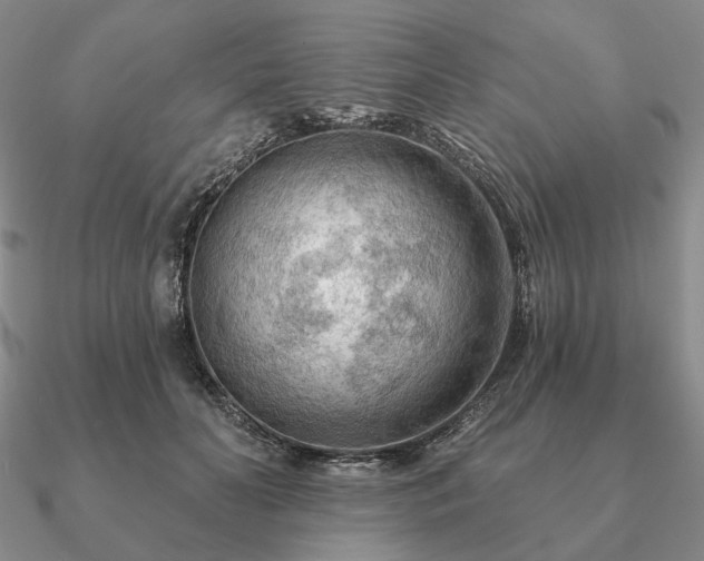 X0000090910606200708061524