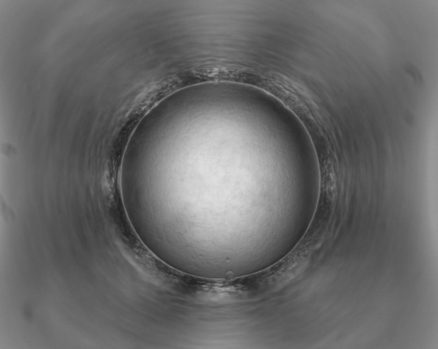 X0000090910607200708061524