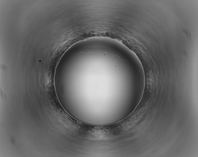 X0000090910608200708061524