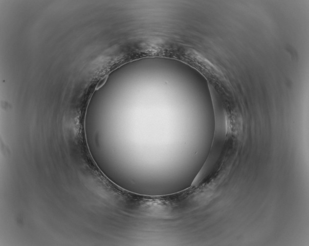 X0000090910611200708061524