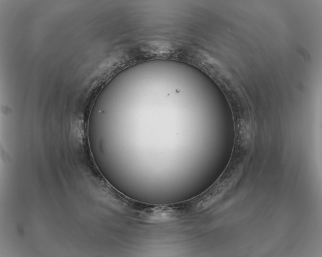 X0000090910612200708061524