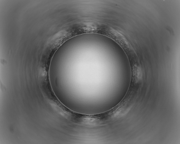 X0000090910614200708061524