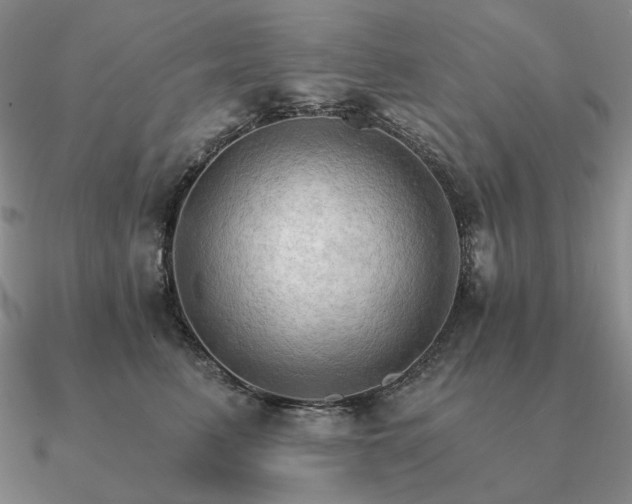 X0000090910615200708061524