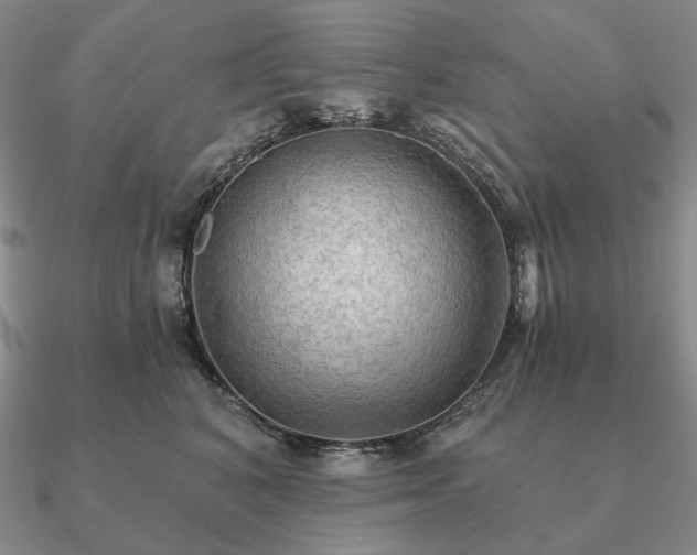 X0000090910616200708061524