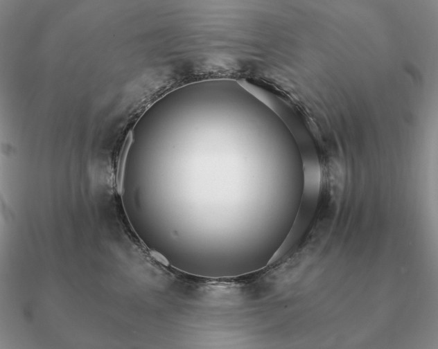 X0000090910617200708061524