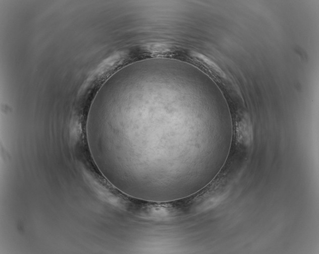 X0000090910618200708061524