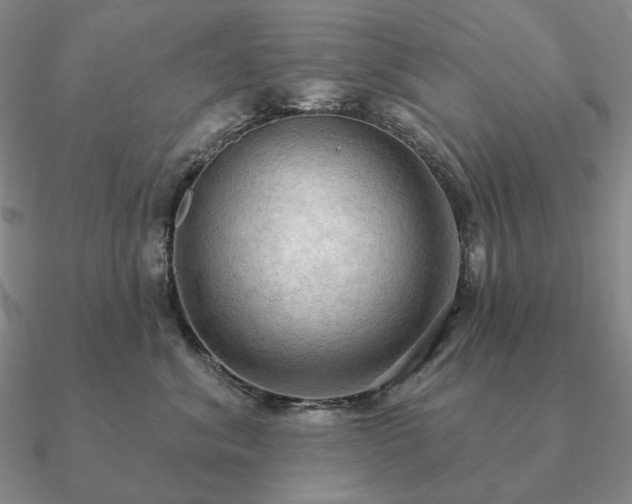 X0000090910620200708061524