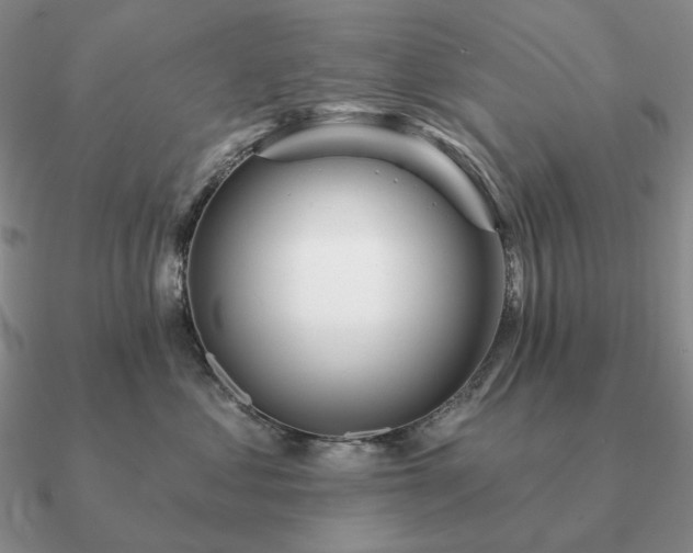 X0000090910621200708061524