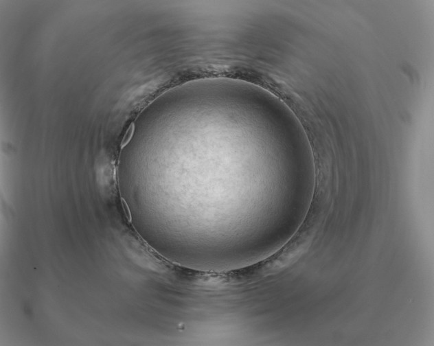 X0000090910624200708061524