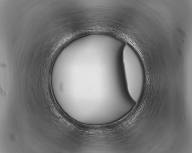 X0000090910625200708061523