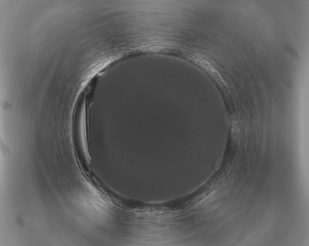 X0000090910626200708061523