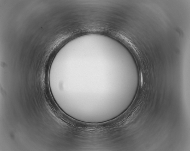 X0000090910627200708061523