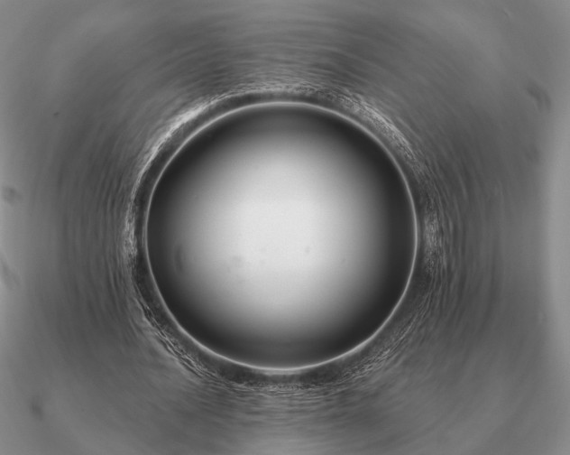 X0000090910628200708061523