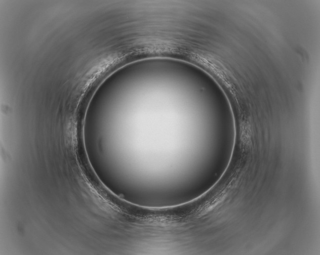 X0000090910629200708061523