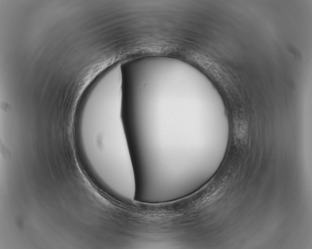 X0000090910630200708061523