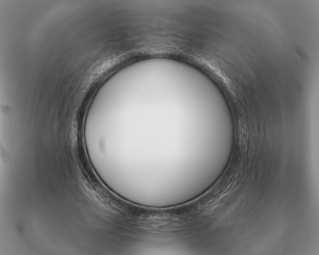 X0000090910631200708061523