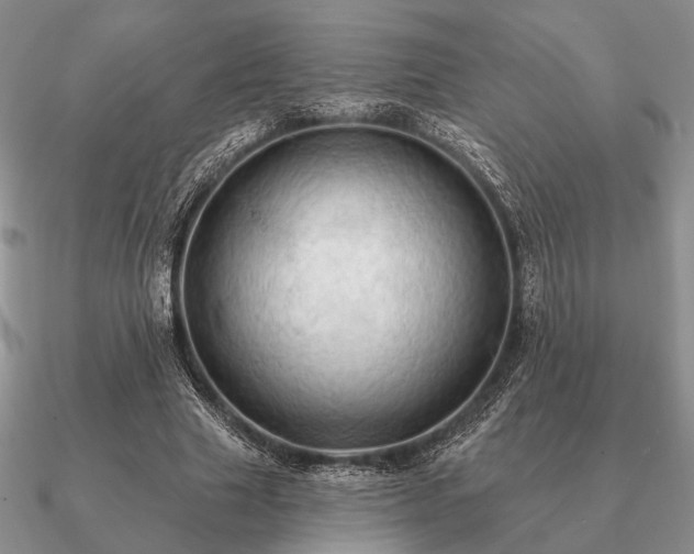 X0000090910633200708061523