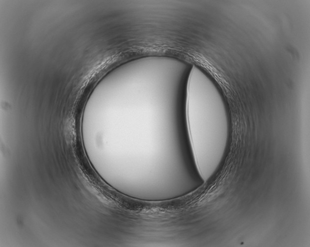 X0000090910634200708061523