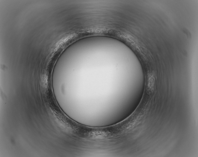 X0000090910636200708061523