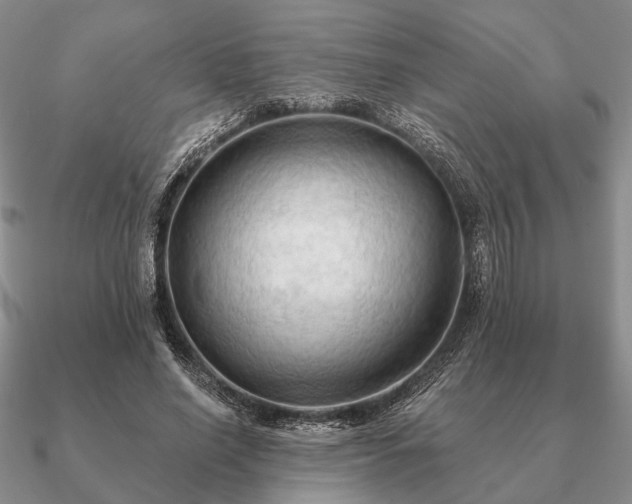 X0000090910638200708061523