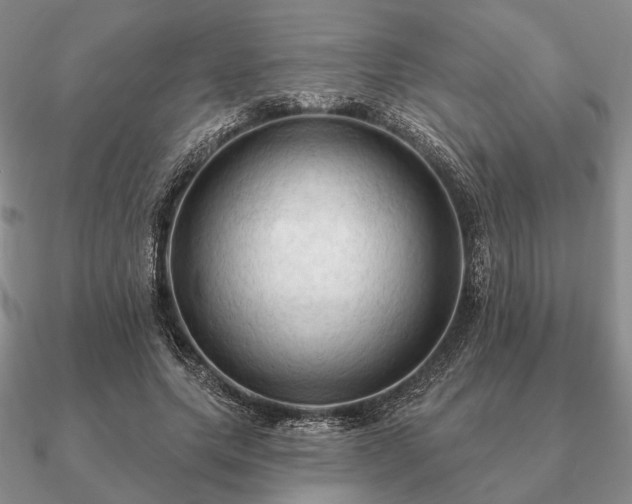 X0000090910639200708061523