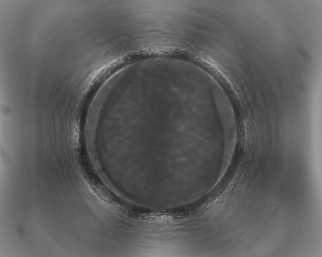 X0000090910640200708061523