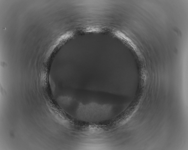 X0000090910641200708061523