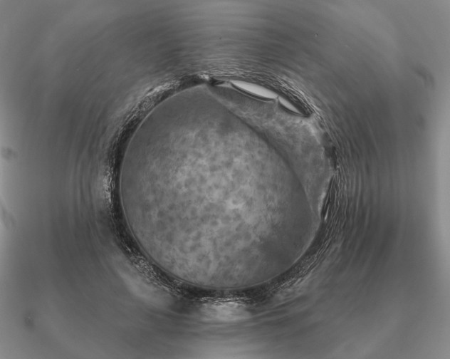 X0000090910643200708061523