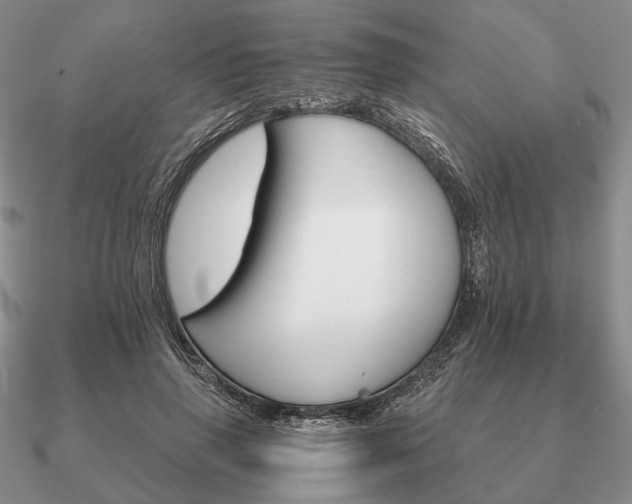 X0000090910645200708061523