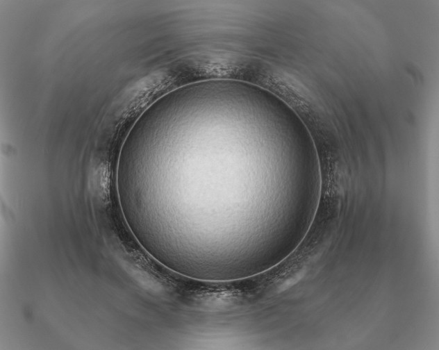 X0000090910646200708061523