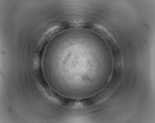 X0000090910647200708061523