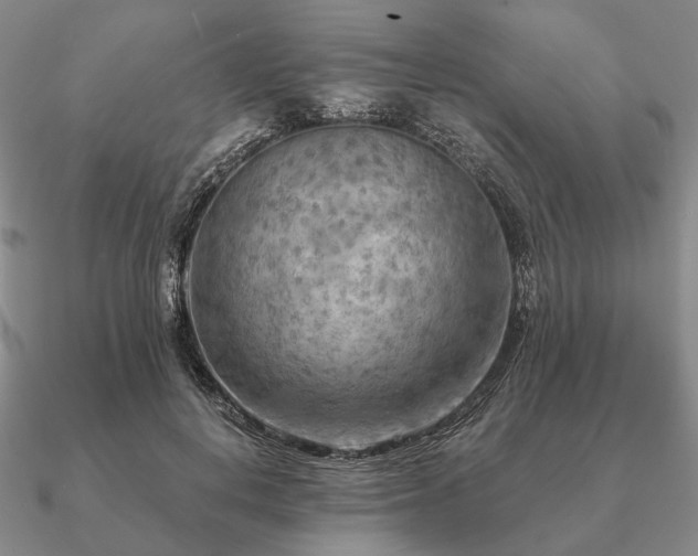 X0000090910648200708061523