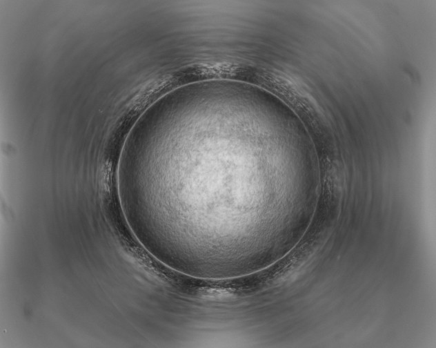 X0000090910649200708061523