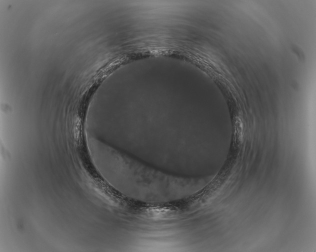 X0000090910650200708061523