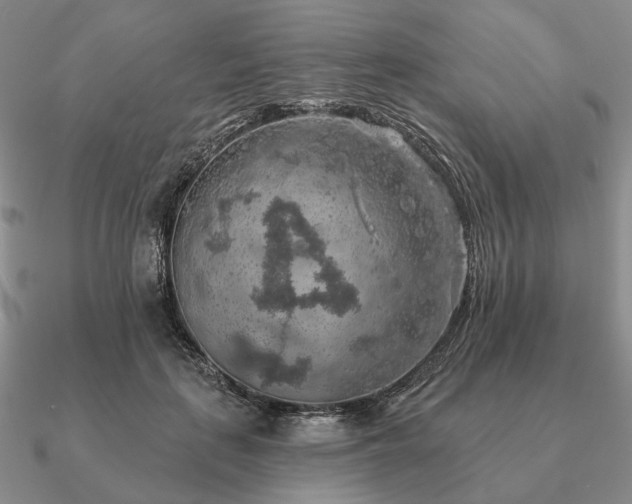 X0000090910651200708061523