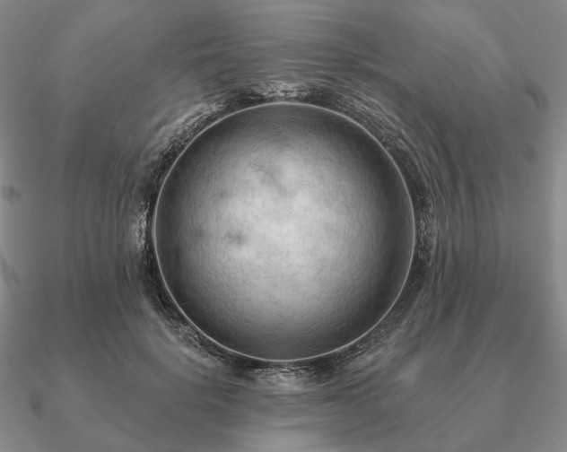 X0000090910652200708061523