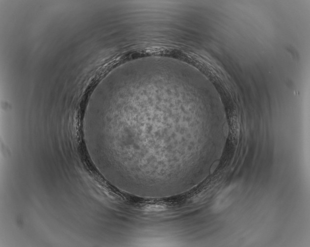 X0000090910653200708061523