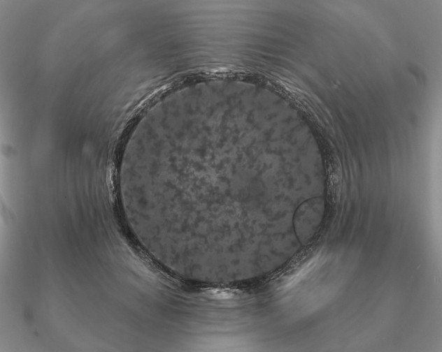 X0000090910654200708061523