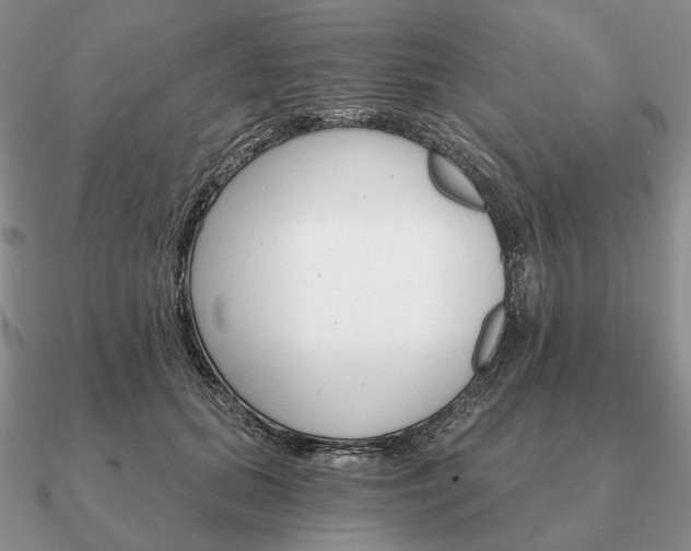 X0000090910655200708061523