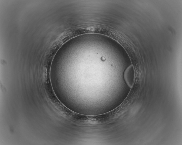 X0000090910656200708061523