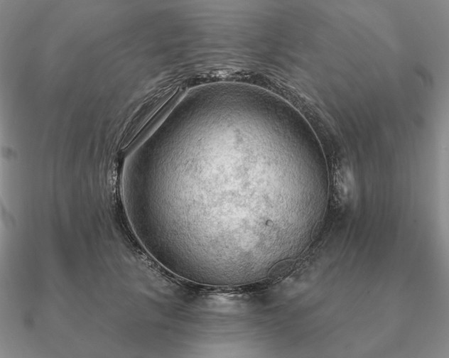 X0000090910657200708061523