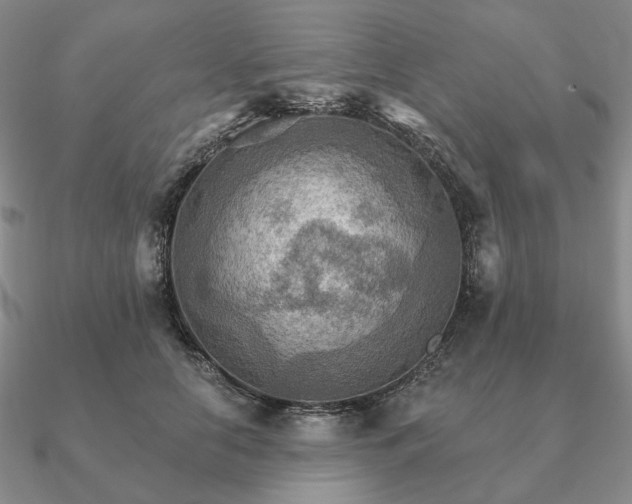 X0000090910658200708061523