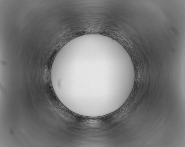 X0000090910659200708061523