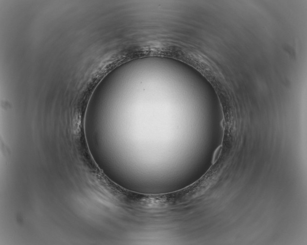 X0000090910660200708061523